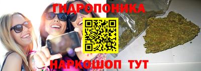 a pvp Славянск-на-Кубани