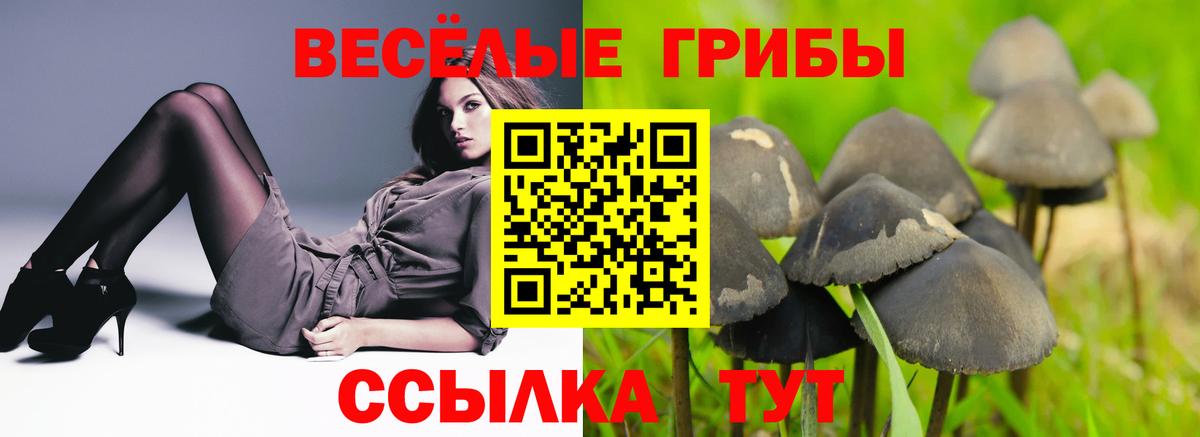 Галлюциногенные грибы Cubensis  Вход с VPN  Галлюциногенные грибы Cubensis  Прохладный 