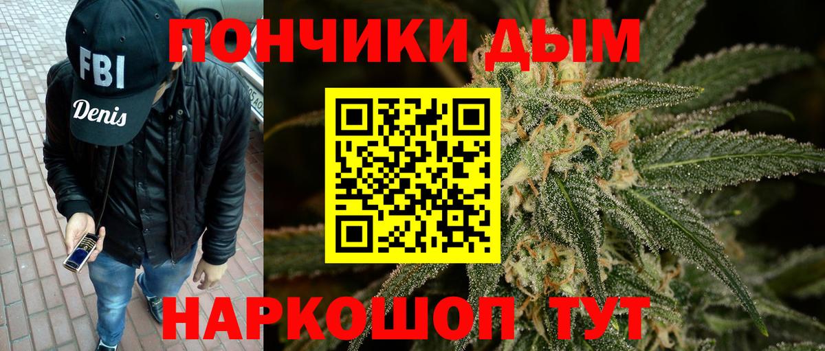 Каннабис OG Kush Прохладный